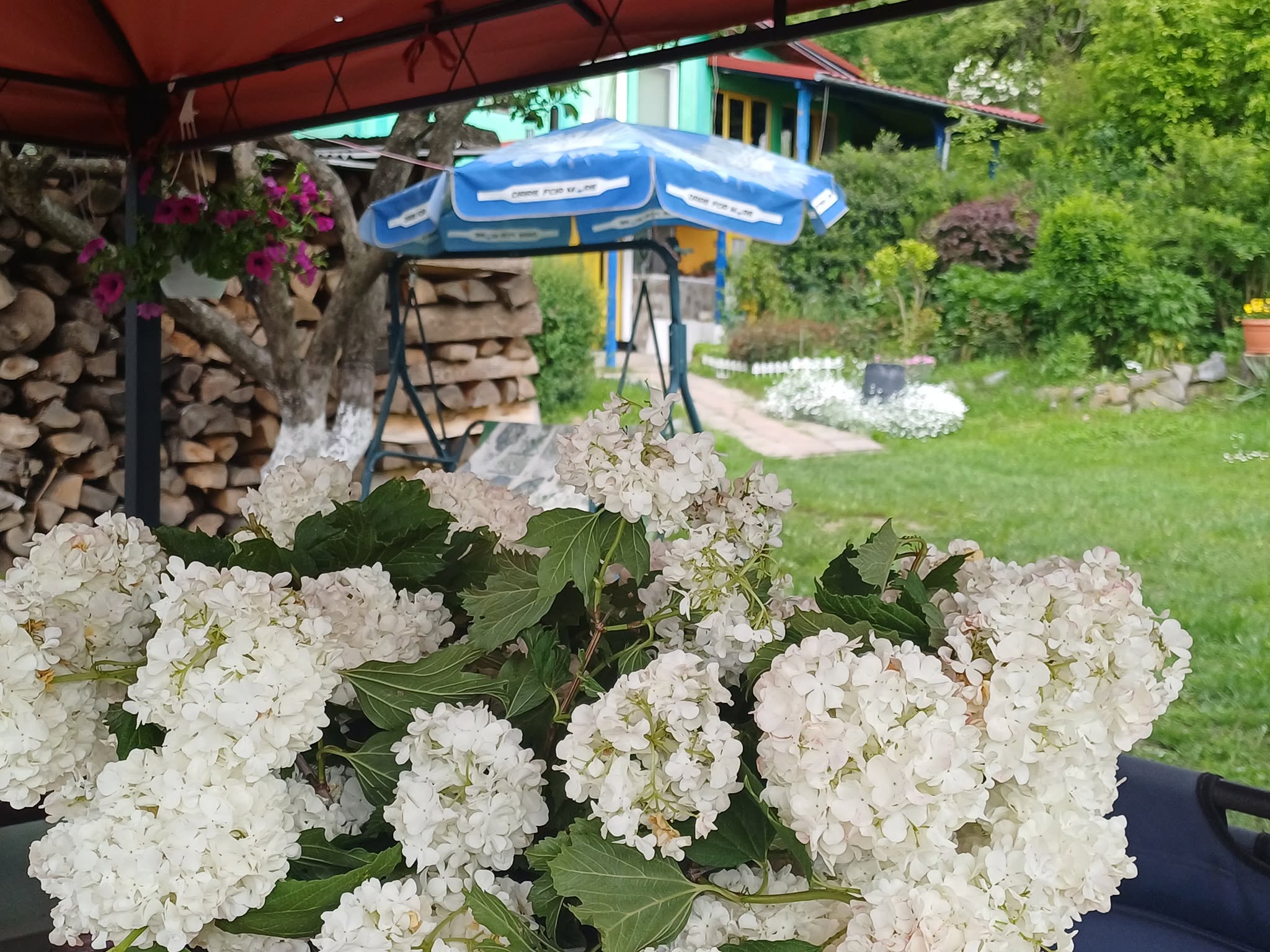 Cameră confortabilă