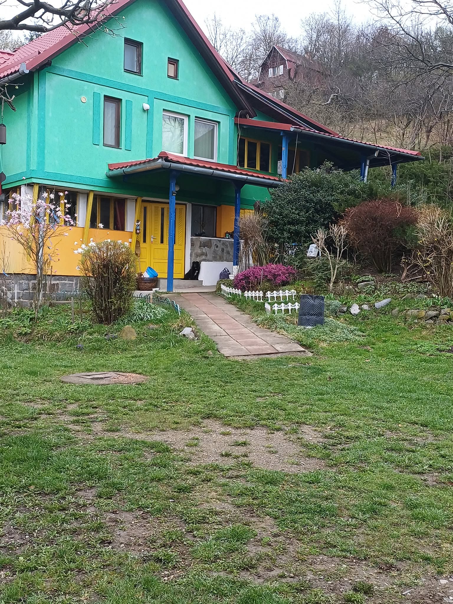 Detalii Pensiunea Zöld Laguna