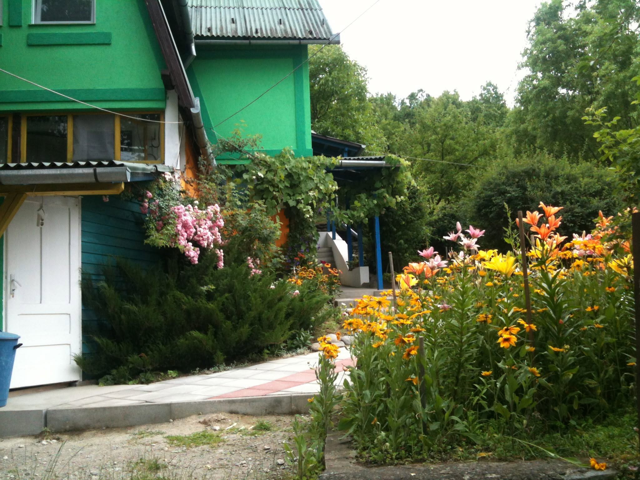 Grădină Pensiunea Zöld Laguna